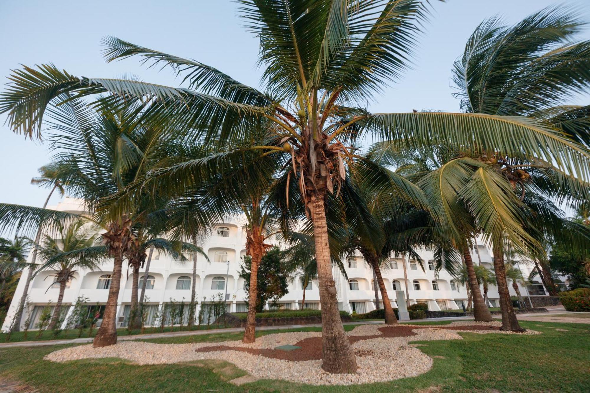 Hotel Blue Tree Towers Sao Luis Exterior foto Coconut trees in the city